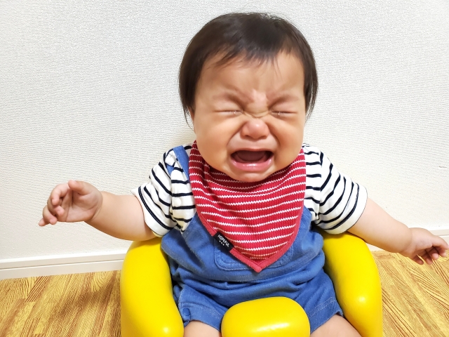 なぜ「クマイリー 怪しい」という声があるのか?