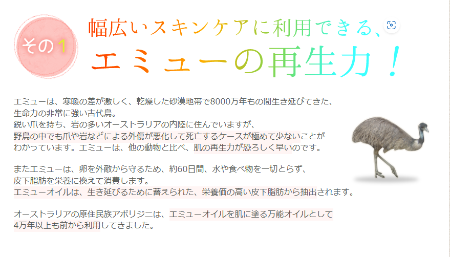 エミューオイルとは?驚きの成分と効果